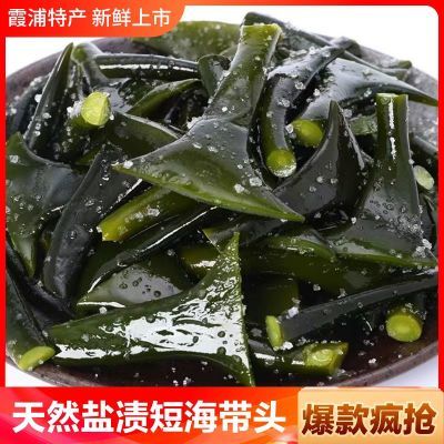 霞浦海带头 新鲜盐渍巨厚特厚实非干货海带头根茎梗丝结昆布海带