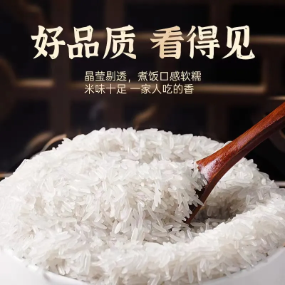 广西猫牙米晚稻新米广西正宗长粒香米农家丝苗米细长米象牙米