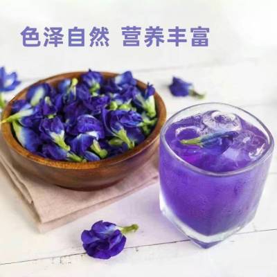 云南看蓝花楹喝蓝蝴蝶蝶豆花花茶无糖无添加抗衰天然通用爆款