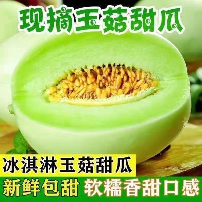 新品种爆甜玉菇甜瓜新鲜水果应季头茬现摘软糯香甜蜜瓜脆瓜香瓜