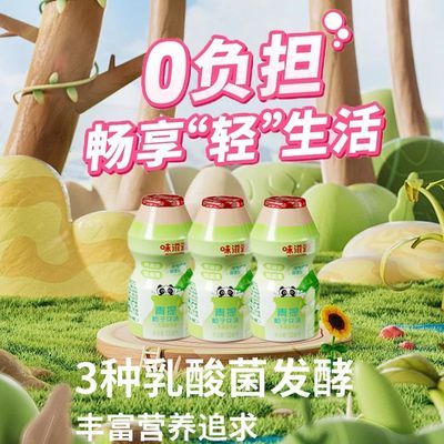 青提栀子花乳酸菌饮品0脂肪多种乳酸菌发酵夏季新品整箱益生菌