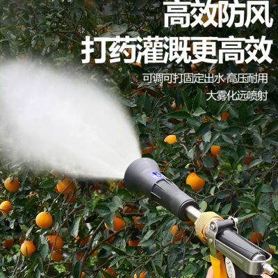 联信农用大水量打药喷枪园林浇水雾化绿化直射耐用水枪防风可调