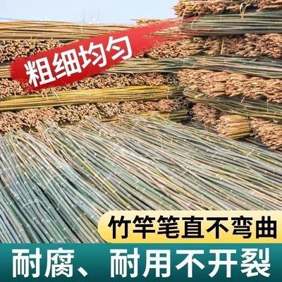 竹竿竹竿番茄藤架搭架黄瓜辣椒豆角旗杆丝瓜竹子杆批发旗杆四季豆