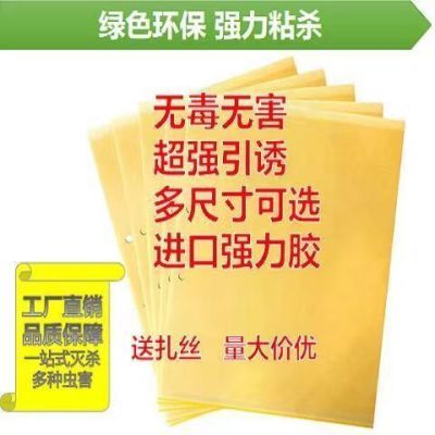 黄色双面粘虫板果园大棚养殖专用强力环保防水粘蚊子力久加厚优质