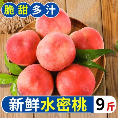 【爆甜】新鲜水蜜桃桃子毛桃脆甜桃当季孕妇水果5/9斤整箱批发