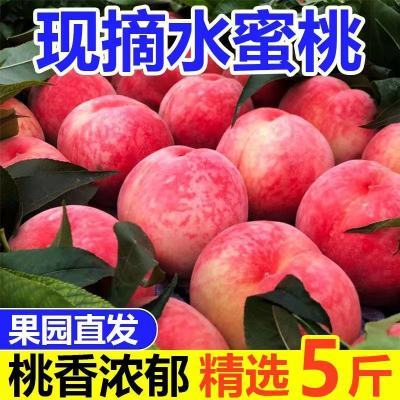 【新鲜】桃子水蜜桃毛桃应季孕妇水果现摘脆桃脆甜蜜桃整箱批发
