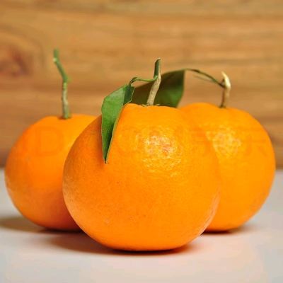 【现摘现发】套袋果冻橙 手剥橙应季柑橘 原产地直发