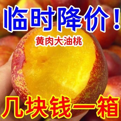 树上成熟】黄肉油桃应季新鲜水果脆甜大桃子礼盒整箱非水蜜桃毛桃