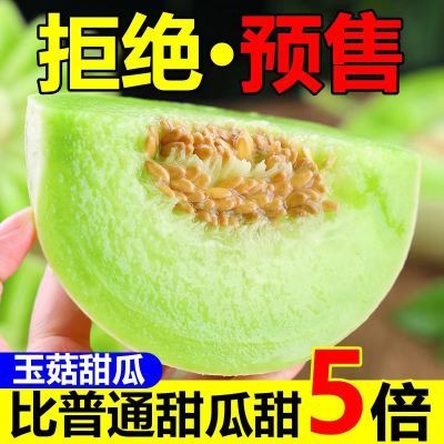 【香甜软糯】正宗玉菇甜瓜蜜瓜香甜新鲜孕妇水果应季头茬现摘蜜瓜