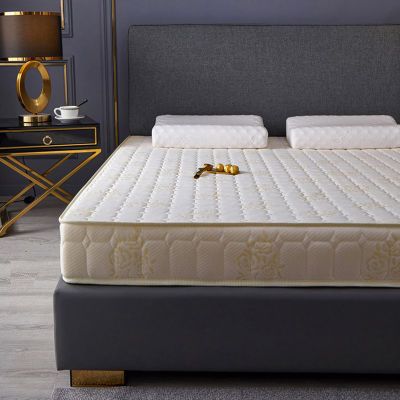 床垫软垫加厚家用睡垫1.5榻榻米单人宿舍海绵垫被褥子1.8米床垫子