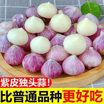 【今年新蒜】紫皮独头蒜2024红皮新蒜头新鲜湿蒜批发独蒜新鲜蔬菜