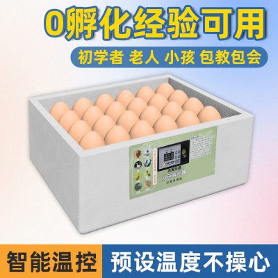 孵化器孵蛋器家用自动调温水床孵化器孵化箱智能自动控温小鸡