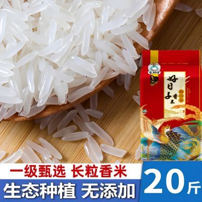 【一级长粒香】晚稻新米广西正宗长粒香米农家丝苗米细长米象牙米