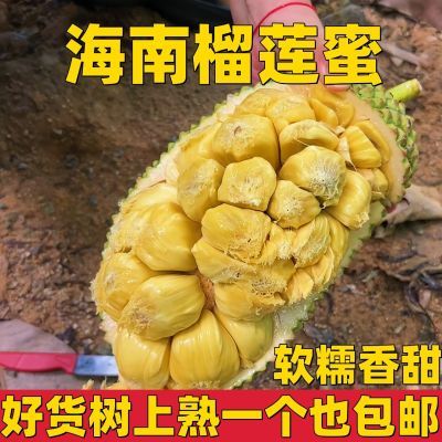 海南三亚榴莲蜜水果现摘发货2-3斤软糯香甜果肉软软趴趴爆甜新鲜