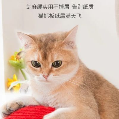 猫爪蘑菇猫爪立柱可爱仙人掌麻绳抓板耐磨抓柱不掉剑麻可爱高颜值