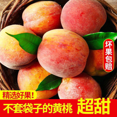 【S现摘纯甜】彩虹黄桃新鲜水果应季桃子正宗当季时令孕妇水果