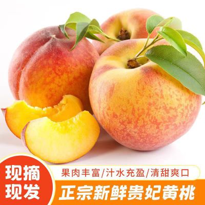 桃子新鲜水果当季现摘黄桃水蜜桃脆甜毛桃脆桃应季水果