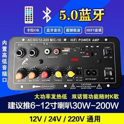 内置蓝牙双话筒功能12V24V220V电源用音响户外蓝牙功放板大功率