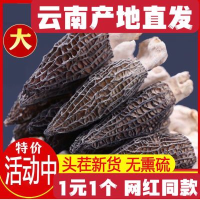 (一元一颗羊肚菌)正品云南香格里拉非野生羊肚菌煲汤火锅料食材