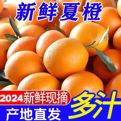 【大降价】新鲜夏橙应季水果甜橙子手剥橙子1斤-10斤整箱商用批发