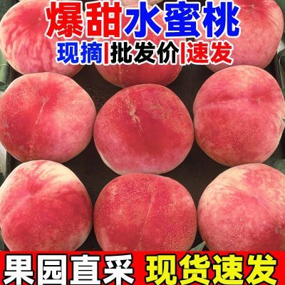 现货】水蜜桃10斤桃子新鲜水果整箱应季当季现摘脆毛桃超甜1/3斤