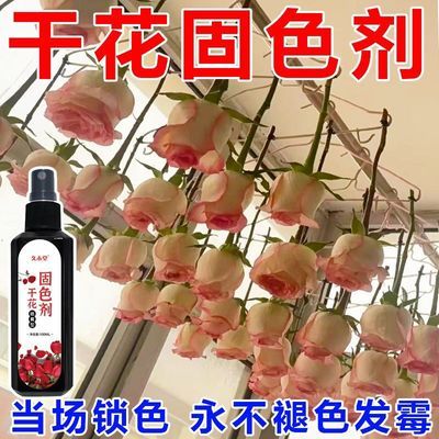 【手工干花】干花固色剂永生花保鲜护形干花diy防褪色护色剂喷雾