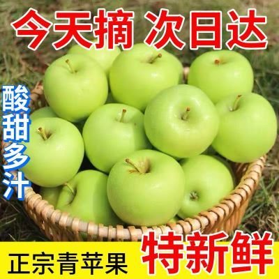 青苹果水果新鲜脆甜酸苹果应季批发一整箱孕妇平果山西非丑红富士