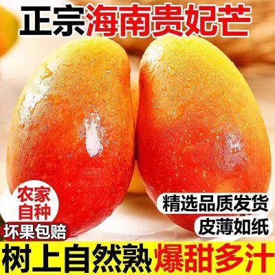 已售100w+】海南贵妃芒果新鲜水果热带红金龙芒果大果一整箱批发