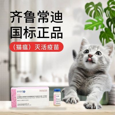 【顺丰空运】齐鲁常迪国产水貂疫苗猫疫苗小猫咪预防猫科肠炎猫瘟