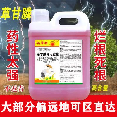 草甘膦异丙胺盐41%草苷膦 磷甘草麟铵盐正品正牌除草剂10斤大桶