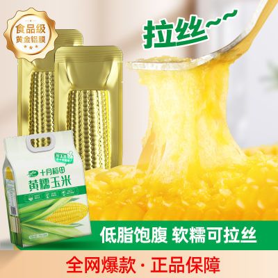[2023年新玉米] 十月稻田黄糯玉米鲜食铝膜真空低脂营养师