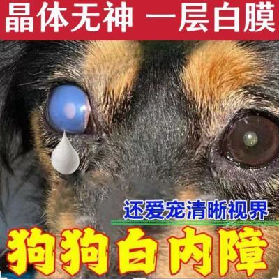 狗狗眼白膜】宠物眼混浊滴眼液猫狗通用去泪痕眼屎多老流泪护眼液