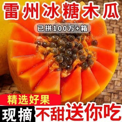 【超级补贴】雷州冰糖心牛奶木瓜新鲜当季超甜红心木瓜树上熟大果