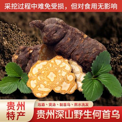 贵州深山野生新鲜食用生何首乌新鲜现挖纯天然超细散装