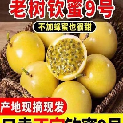 广西钦蜜9号黄金百香果10新鲜水果当季整箱百香果包邮大果钦蜜