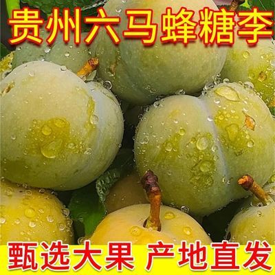 正宗贵州六马蜂糖李新鲜批发果园批发时令当季水果整箱批发