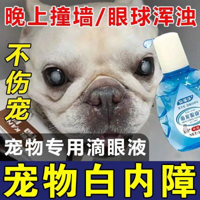 狗狗眼白膜】宠物眼混浊滴眼液猫狗通用去泪痕眼屎多老流泪护眼液