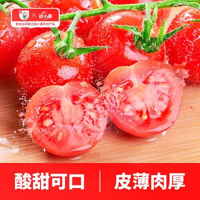 红串番茄串收水果自然成熟新鲜蔬菜小西红柿酸甜整串生吃车厘串