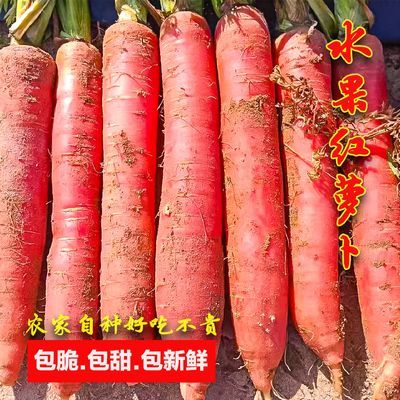 2024年现挖红心水果红萝卜红皮胡萝卜新鲜蔬菜脆甜生吃胡萝卜精选