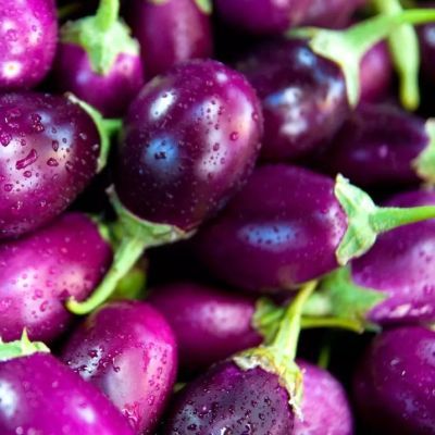 新鲜茄子紫皮茄时令蔬菜优质当季食用