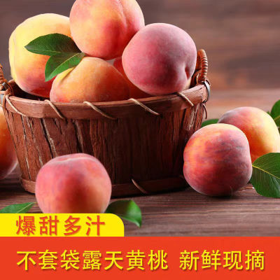 桃子水蜜桃新鲜黄桃现摘甜脆水果毛桃应季水果批发一整箱