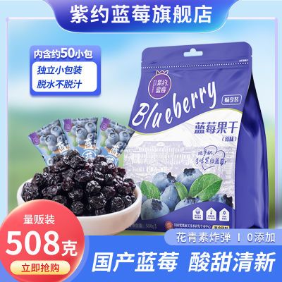 无添加新鲜紫约原味蓝莓干非野生保护视力独立小包装零食508g