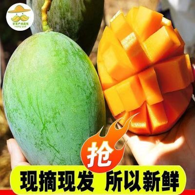 四川攀枝花芒果新鲜薄皮正宗凯特芒果当季水果批发一整箱现摘现发