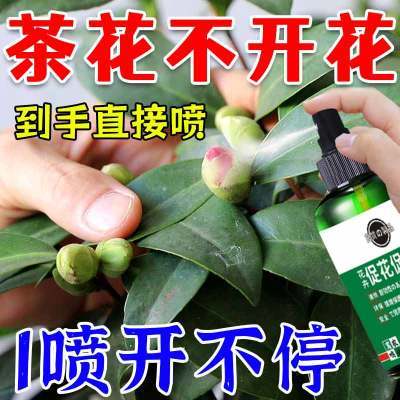 茶花不开花】催花促花延长花期防黄叶掉花苞防落蕾茶花通用叶面肥