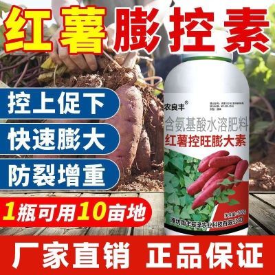 红薯控旺膨大增产控上促下宝宝预防畸型防裂红薯膨大膨大素抗病抗