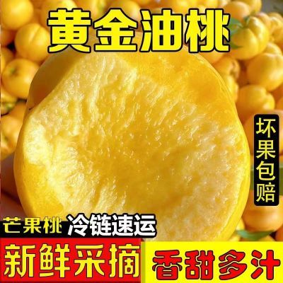 【黄金油桃】现摘正宗黄金油桃新鲜水果应季黄油桃脆甜孕妇整黄皮