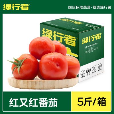 【绿行者】红又红番茄品牌果5斤新鲜蔬菜自然熟西红柿子孕妇水果