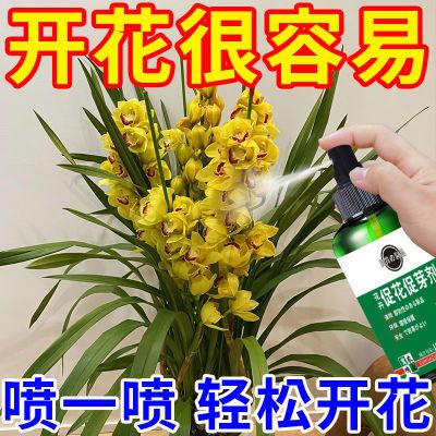 兰花不开花】催花促花叶片枯黄补充氮磷钾免稀释花卉促花促芽剂