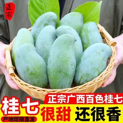 【礼盒装】正宗广西田东桂七芒果香芒甜芒3/5/9斤新鲜水果包邮