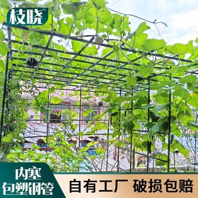 植物爬藤架户外遮阳家用葡萄架黄瓜丝瓜豆角百香果阳台爬藤架